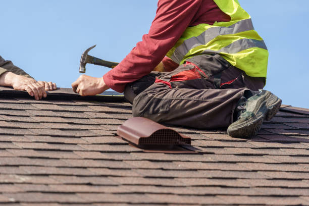 Best Shingle Roofing Installation  in Jellico, TN