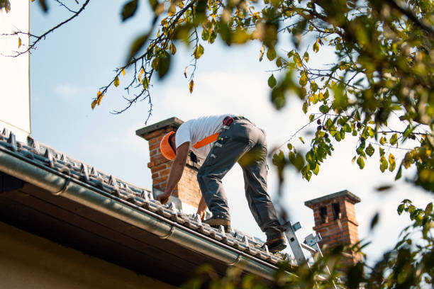 Best Commercial Roofing Services  in Jellico, TN