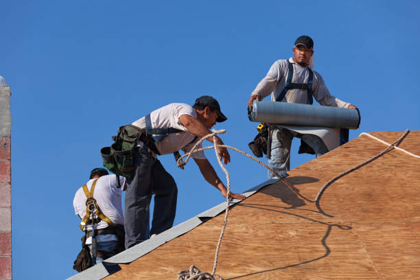 Best Emergency Roof Repair  in Jellico, TN