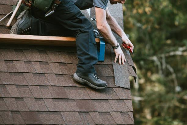 Best Storm Damage Roof Repair  in Jellico, TN